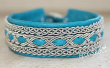 Ladda upp bild till gallerivisning, Abisko